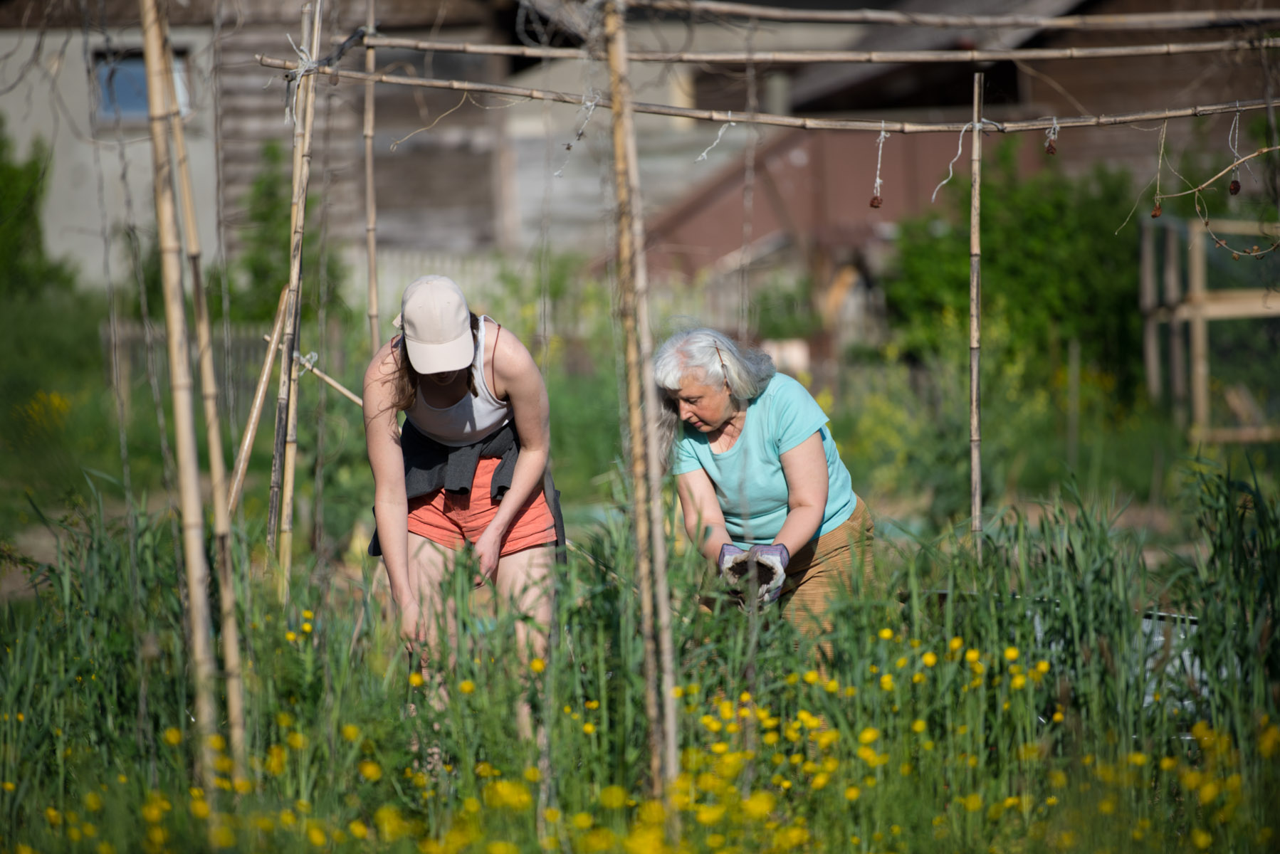 Chantier participatif