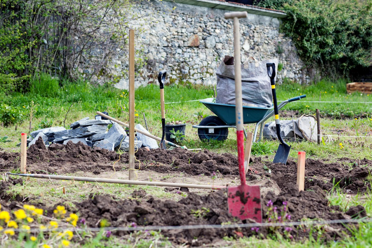 Démarrer un jardin