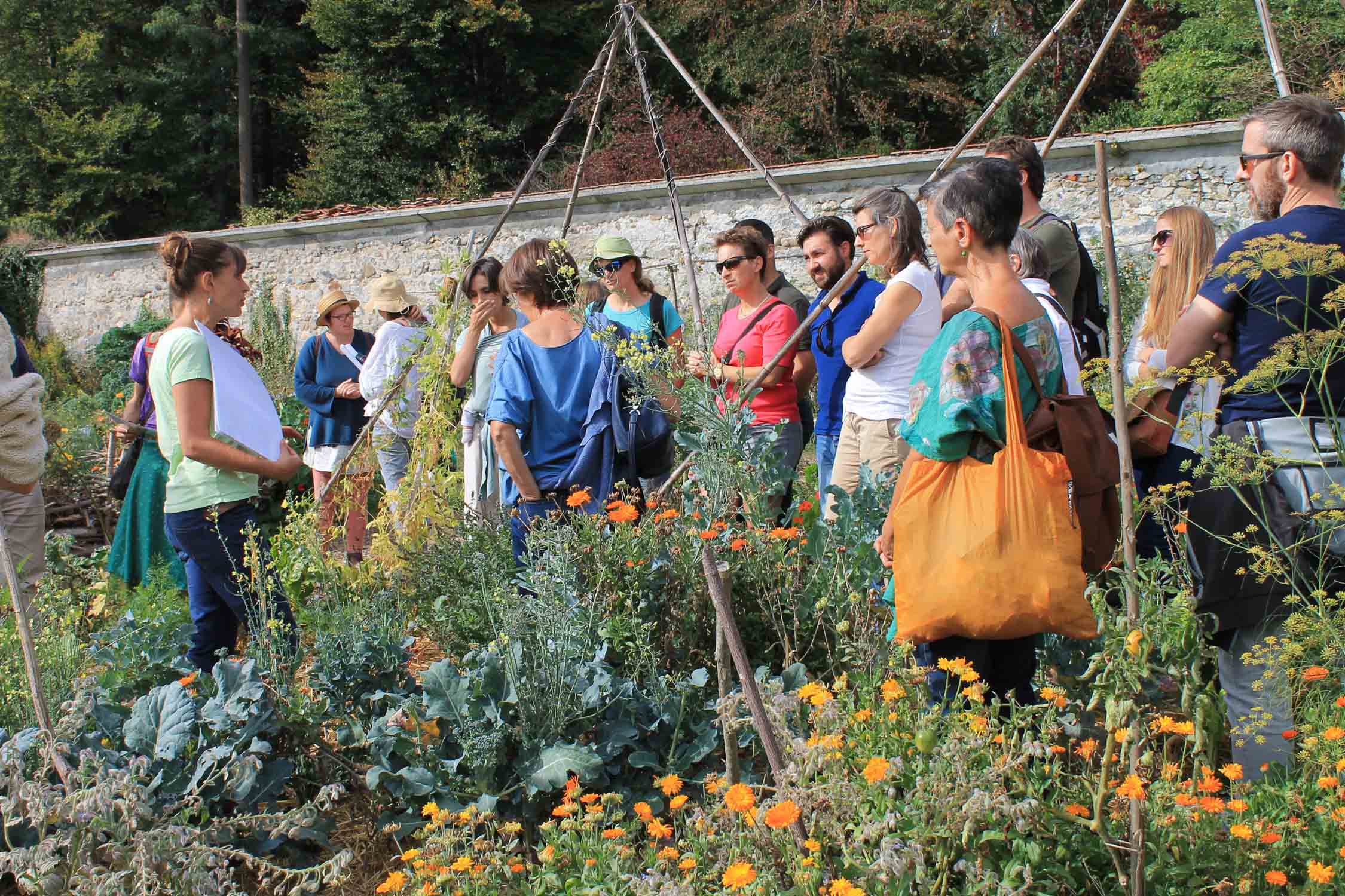 Visite guidée du jardin