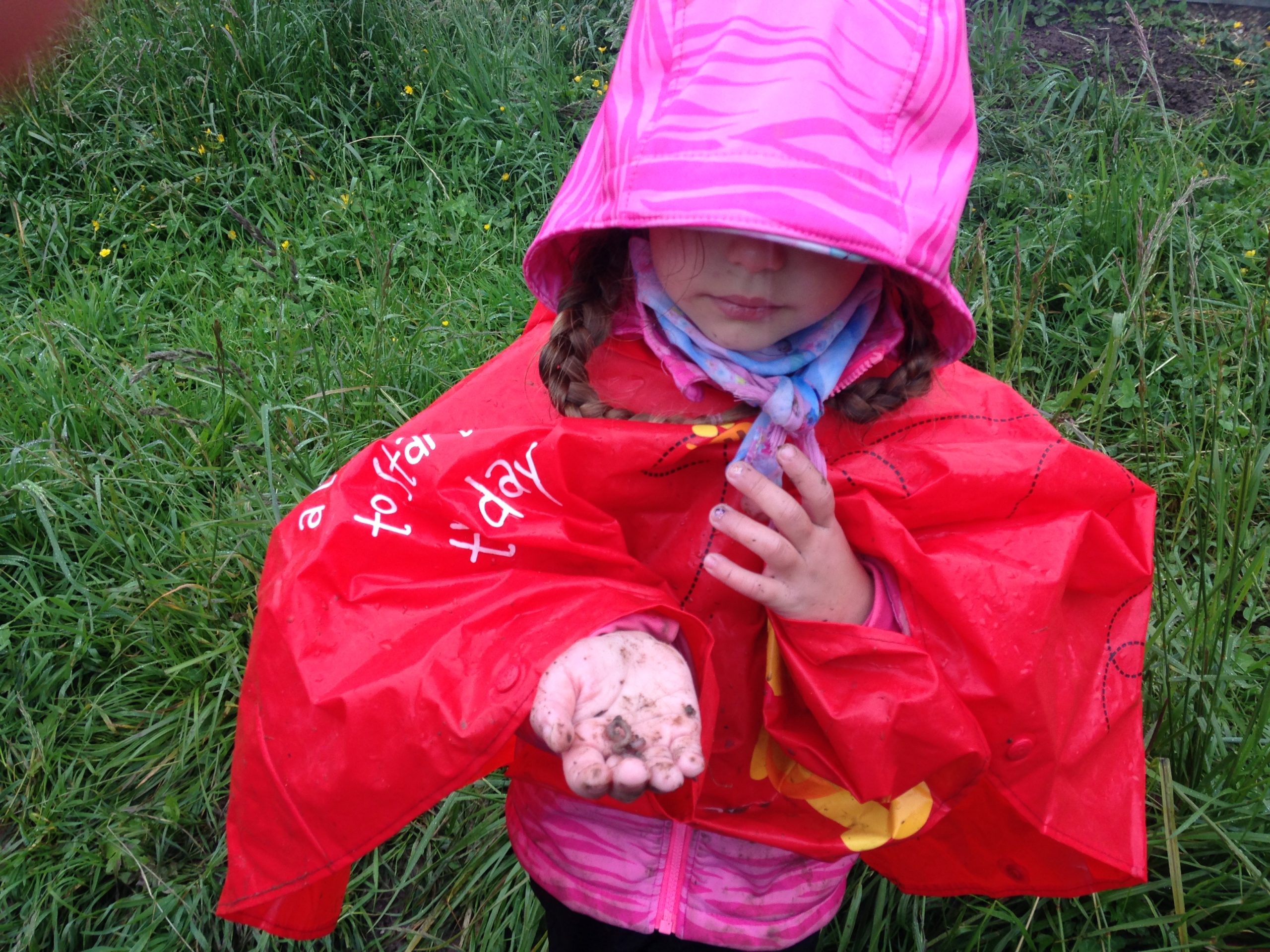 Les Petites Mains Vertes