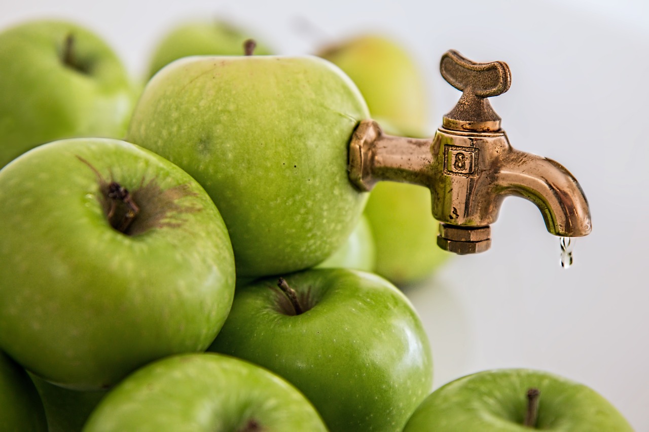 Fruitiers : comment valoriser vos arbres