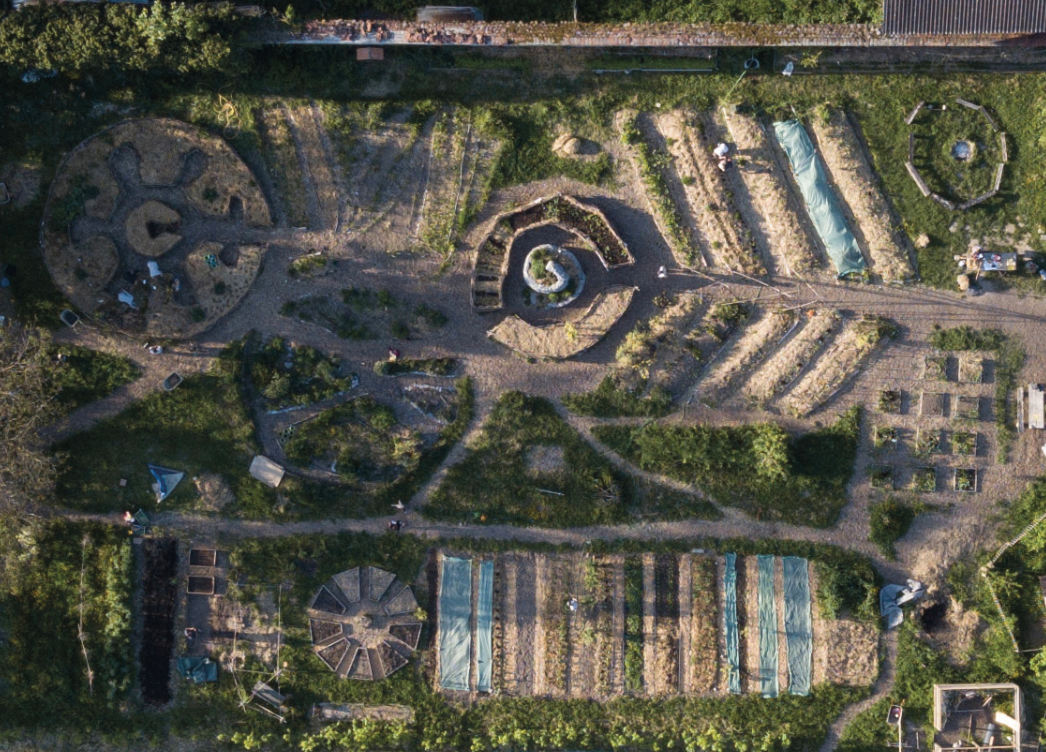 Chantier de nettoyage