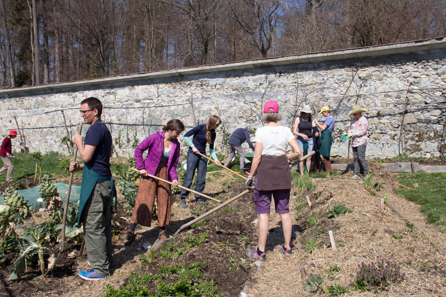 Chantier participatif - clôture de la saison