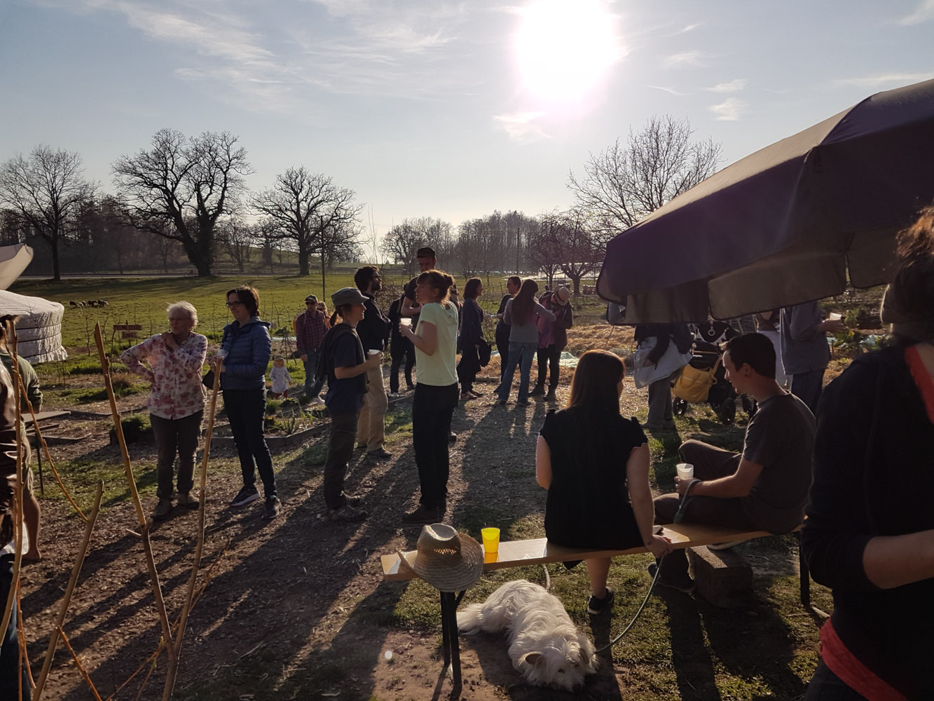 Fête du Printemps