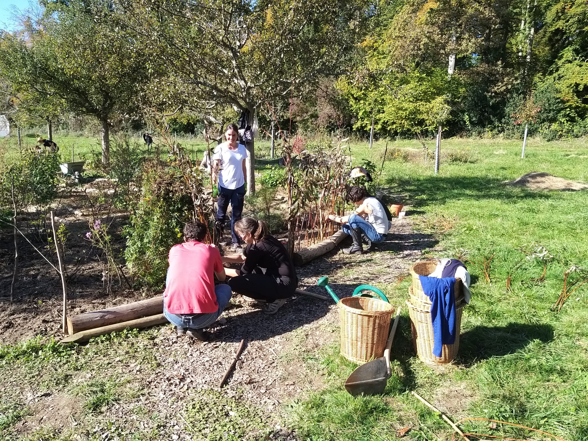 Chantier participatif - Automne