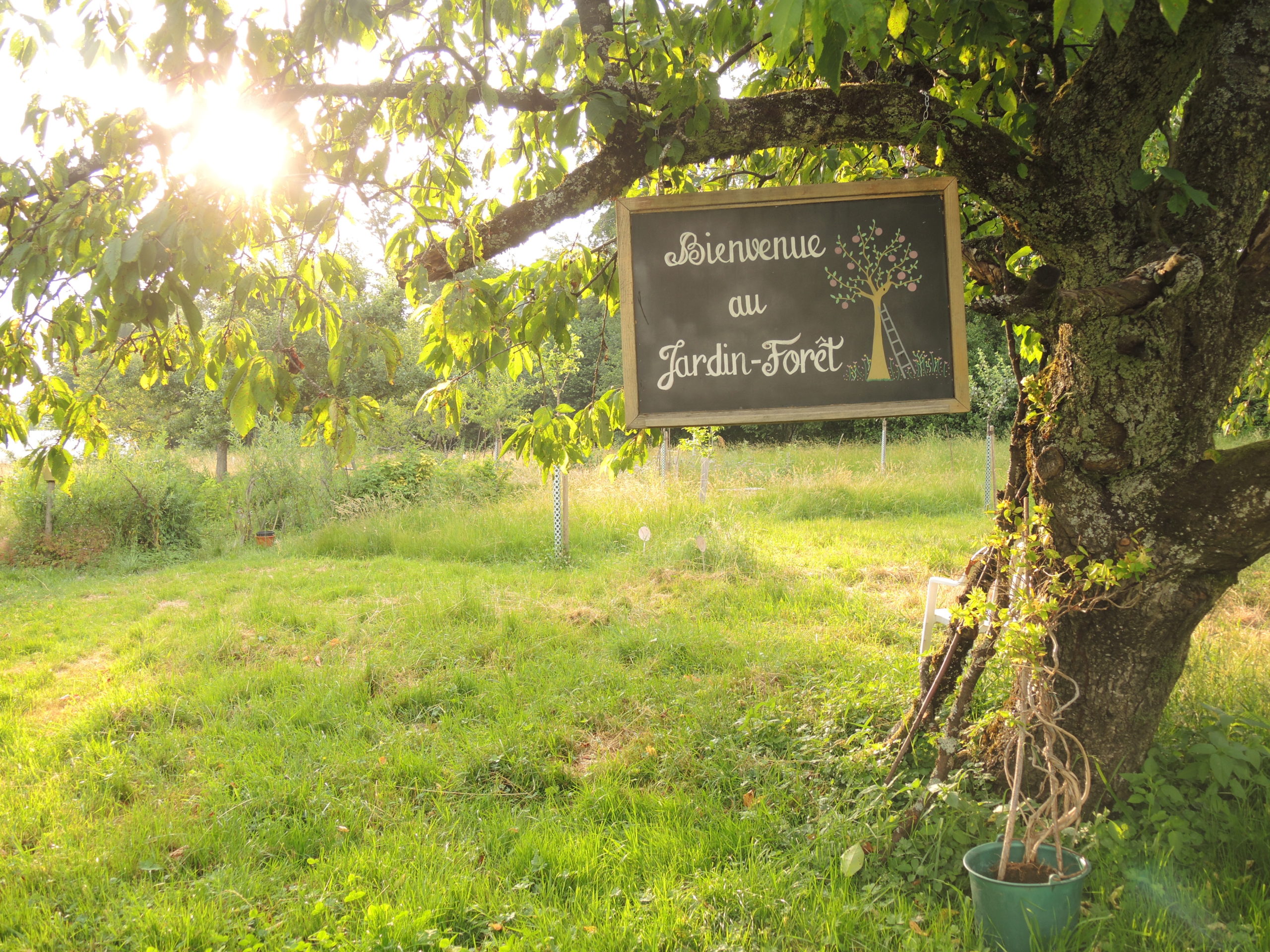 Réunion de la bulle Jardin-Forêt