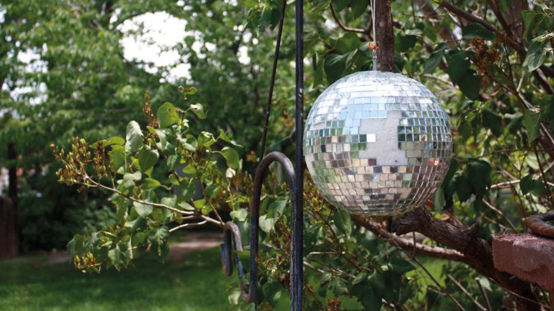 Disco-Jardin