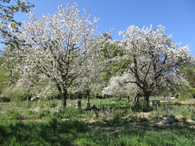 Réunion du Jardin-forêt
