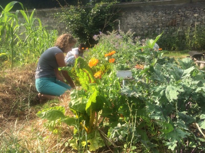 Atelier - Soigner son jardin simplement