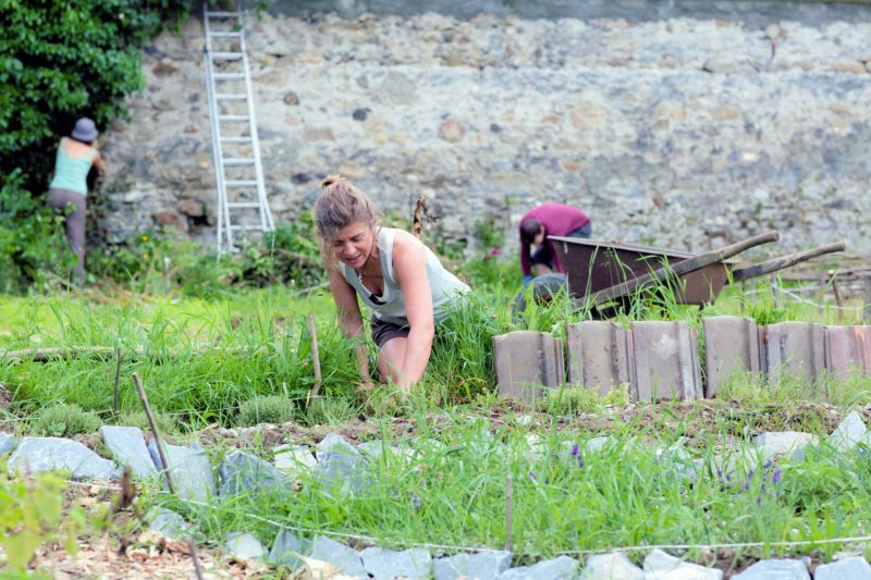 Soigner son jardin simplement