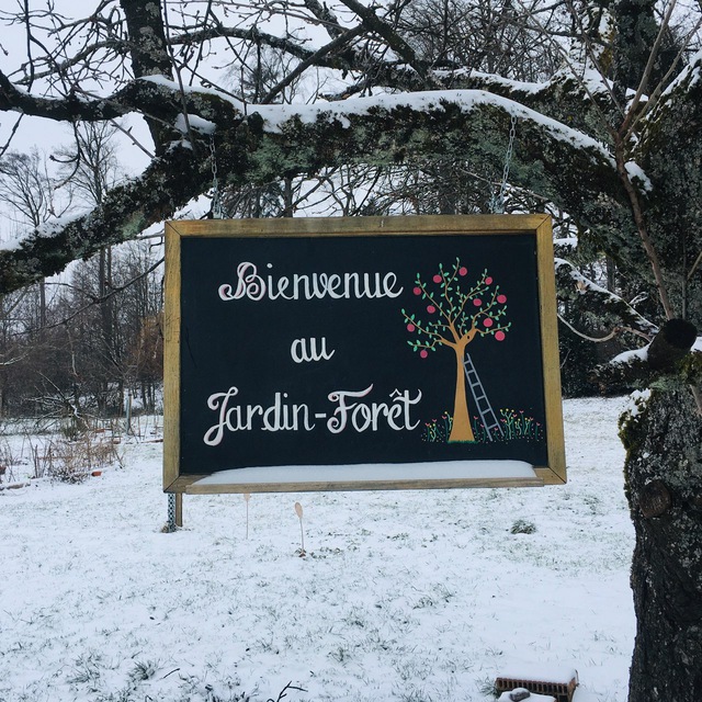 Réunion de la bulle Jardin-Forêt