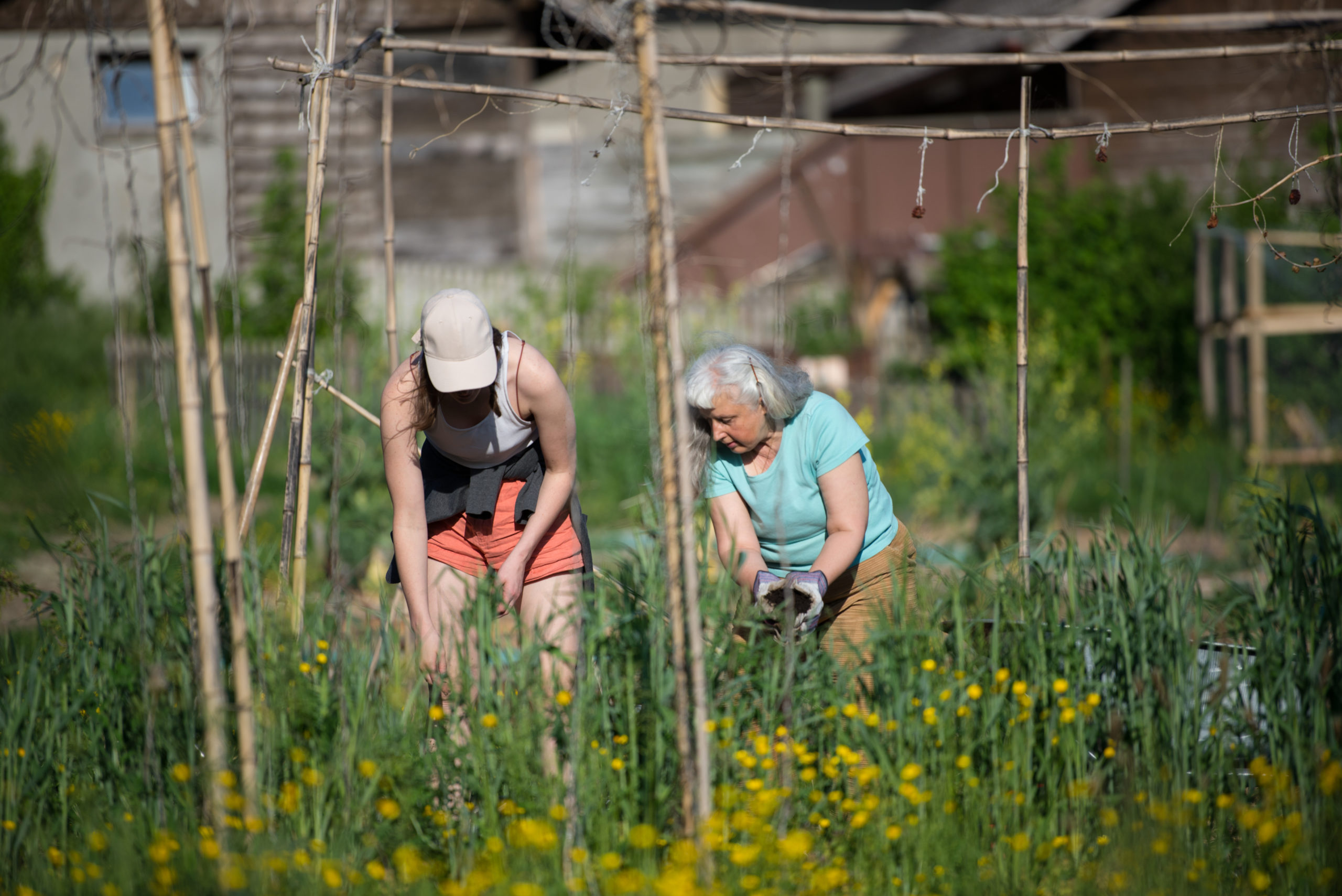 Entretenir son potager urbain