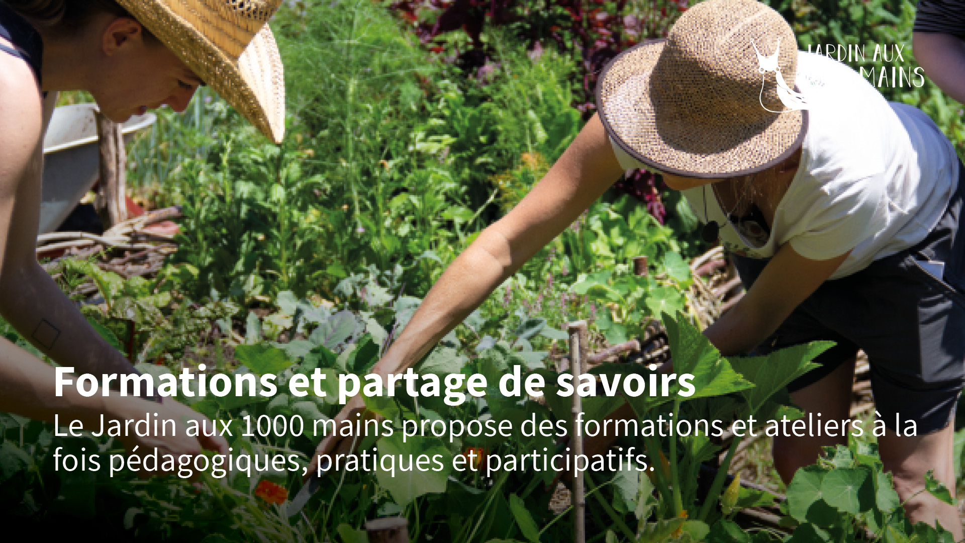 Slideshow_accueil7