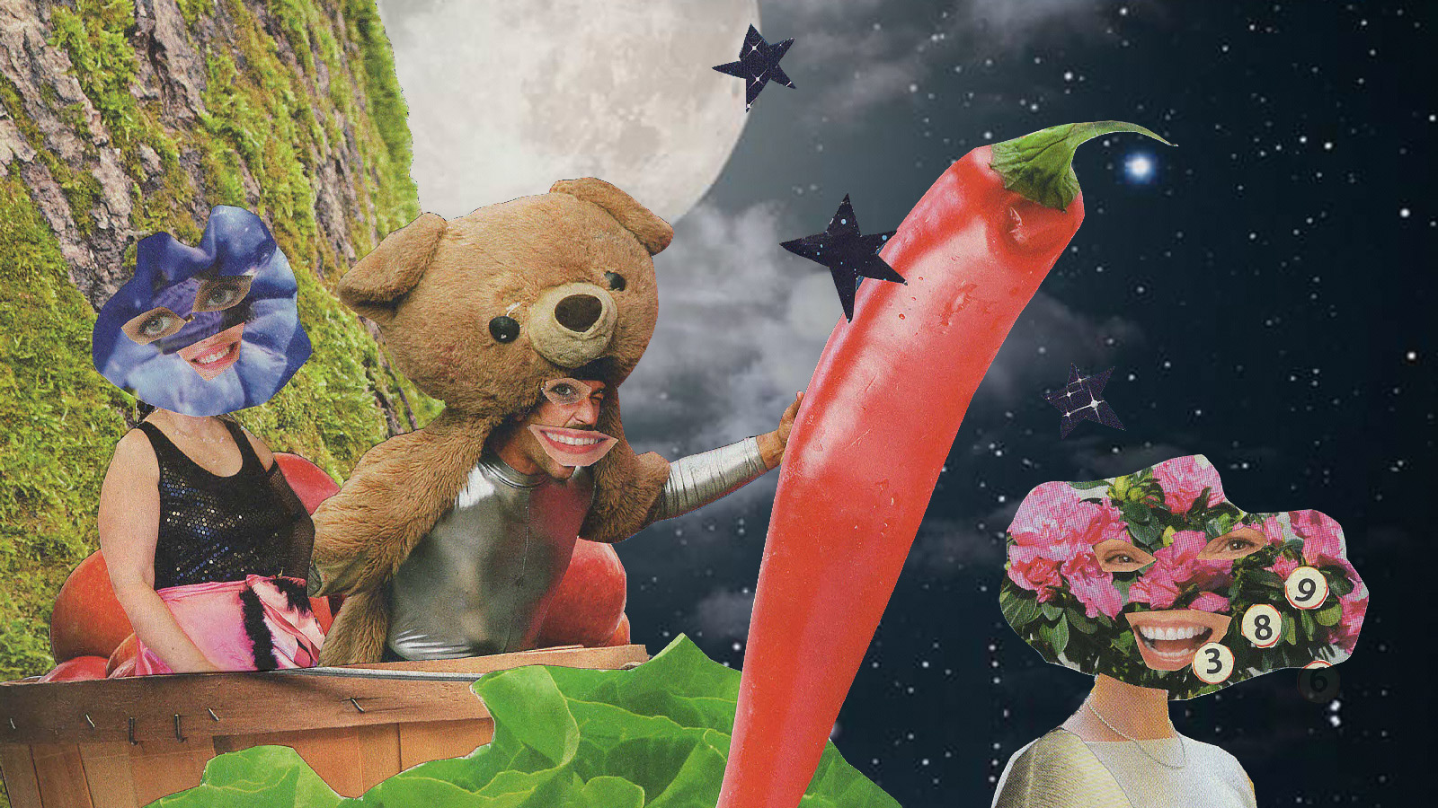 Jardin sous les étoiles