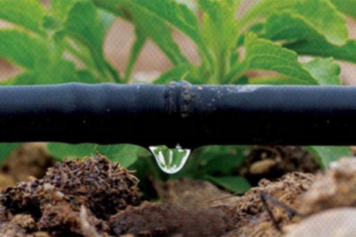 Chantier participatif - eau