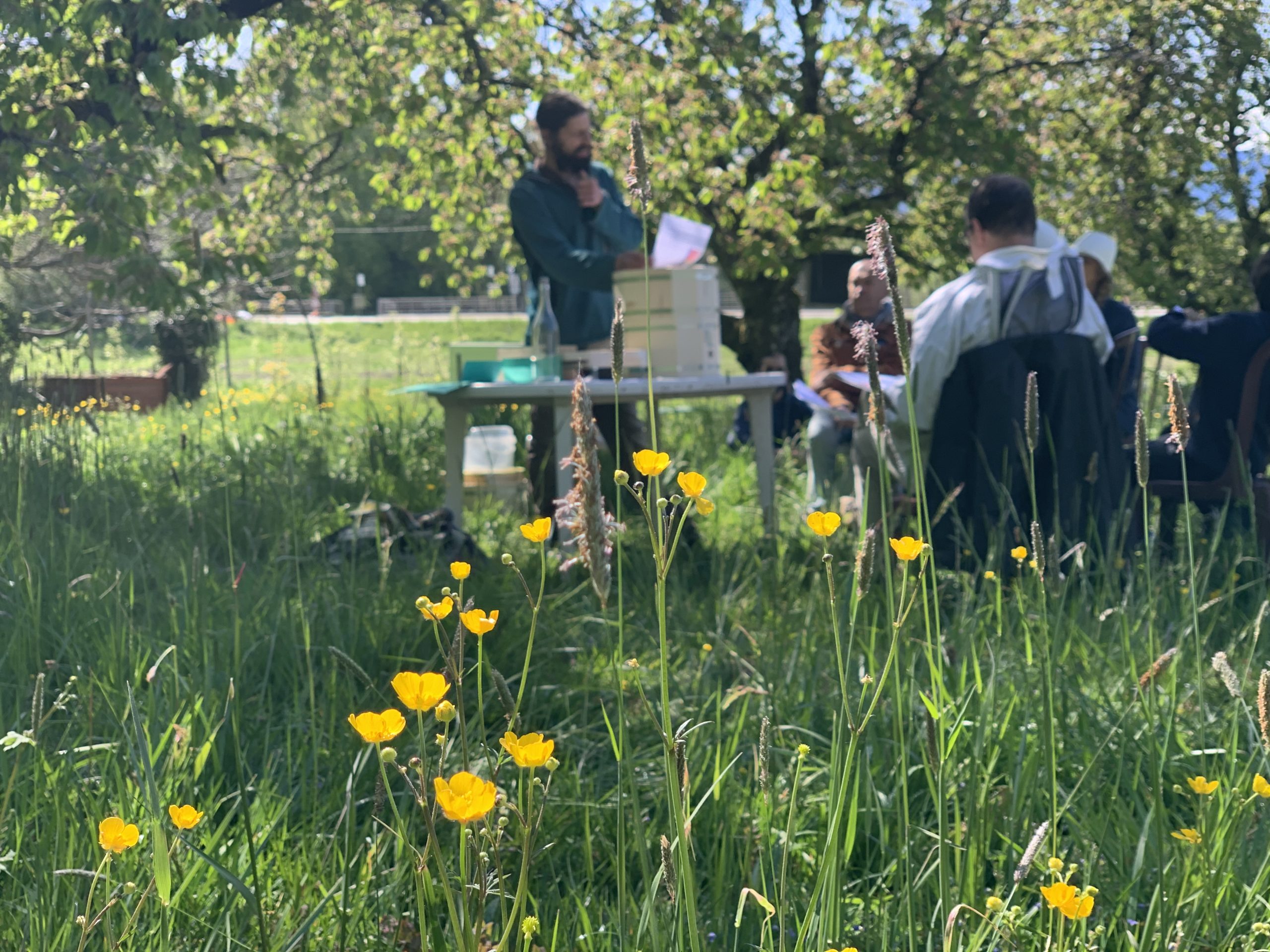 Formation en apiculture naturelle sur ruche Waldlicht