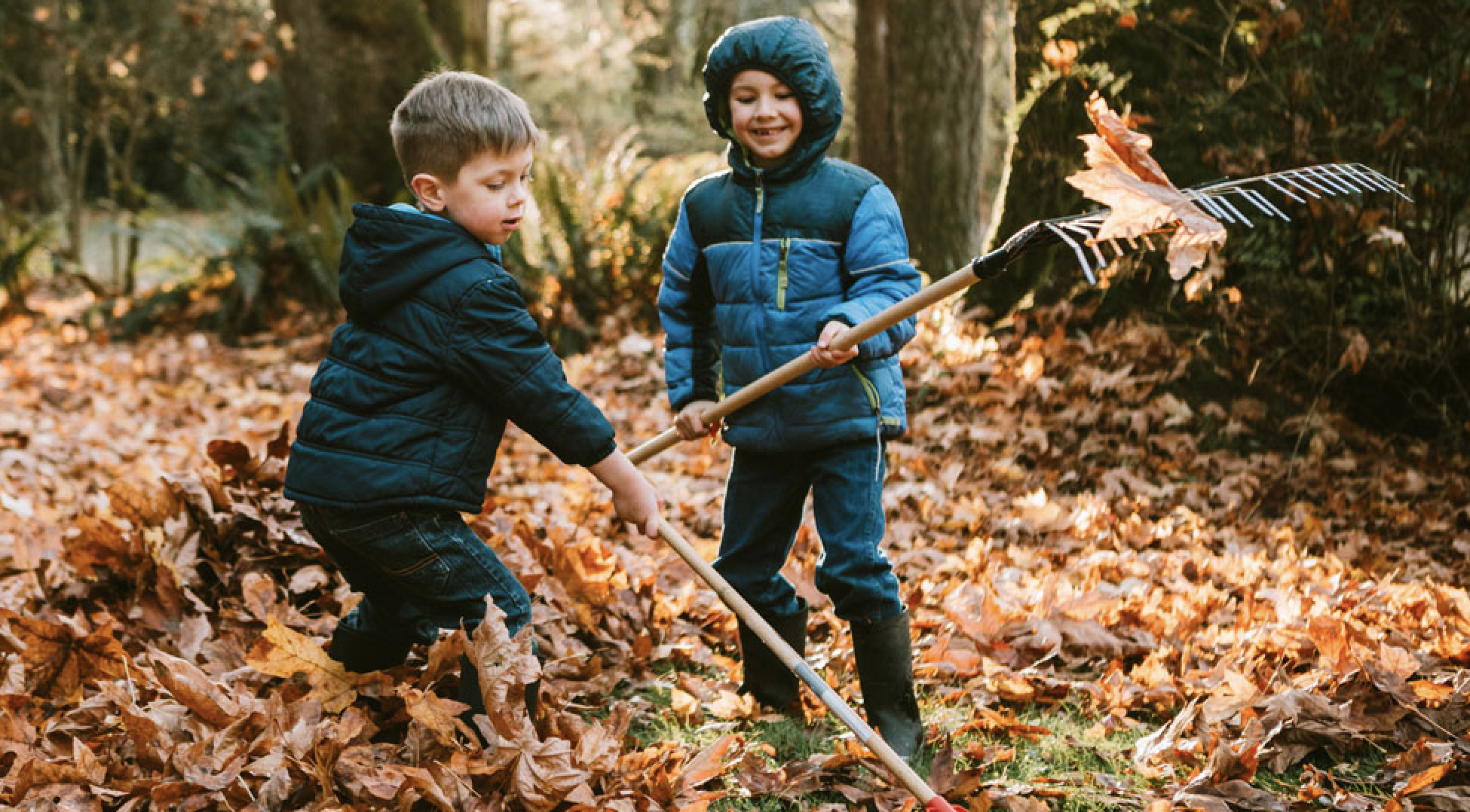 Nettoyage d'automne