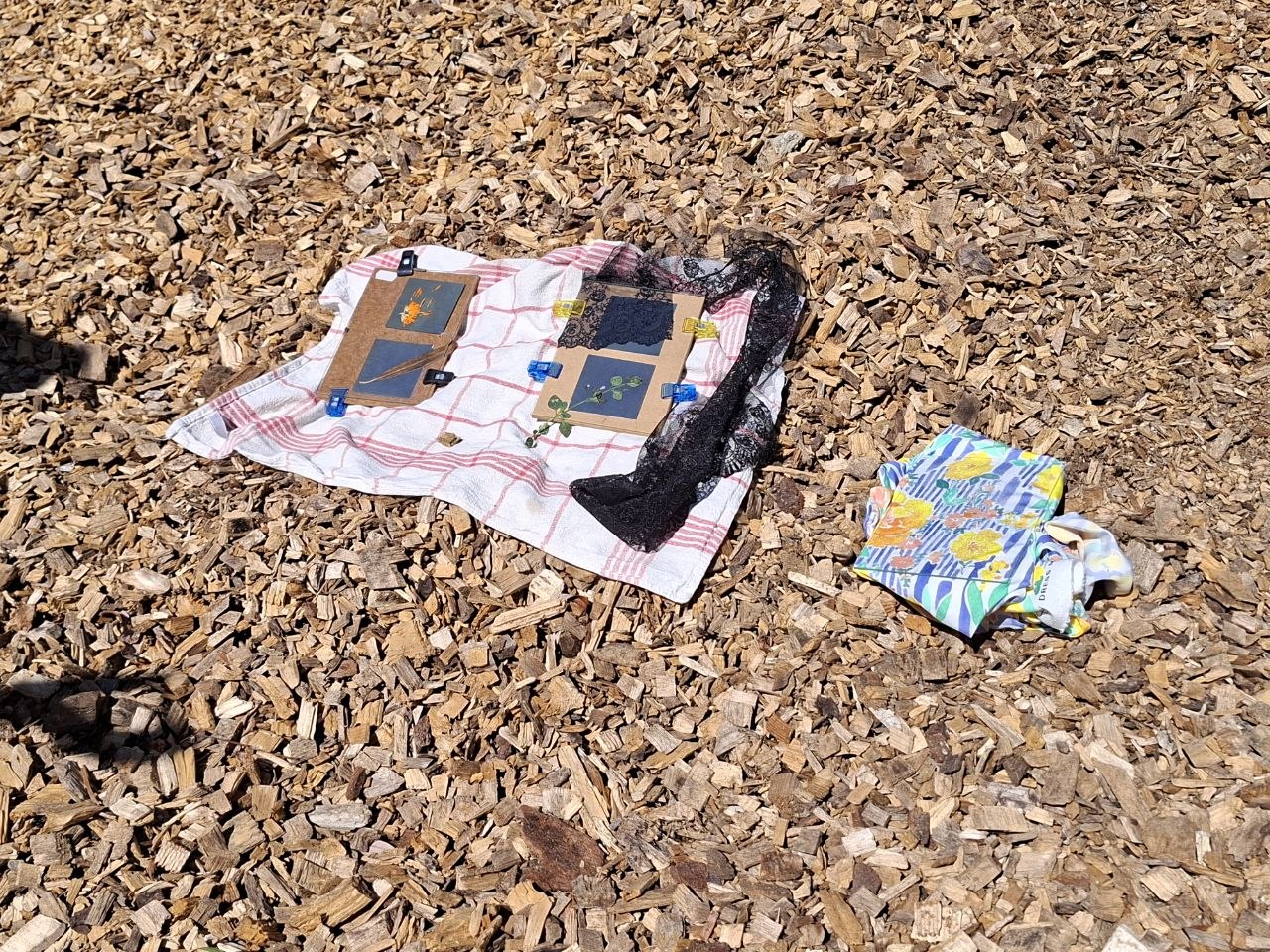 Atelier cyanotype au Jardin